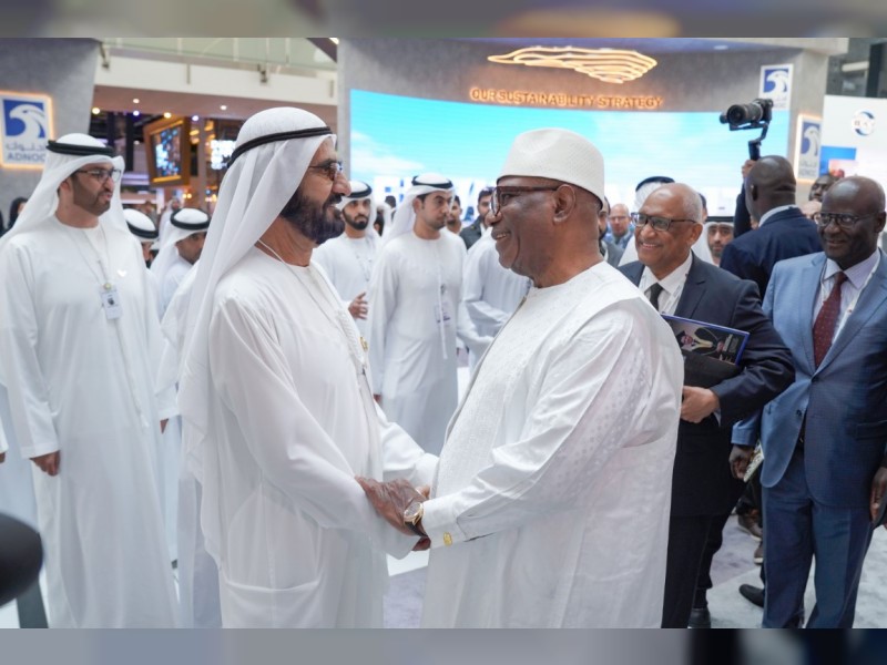 UAE VP meets Mali President