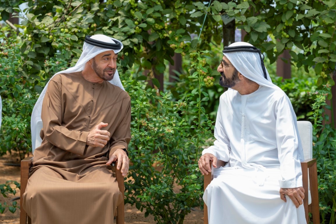 Mohamed bin Zayed, Mohammed bin Rashid review national strategic projects