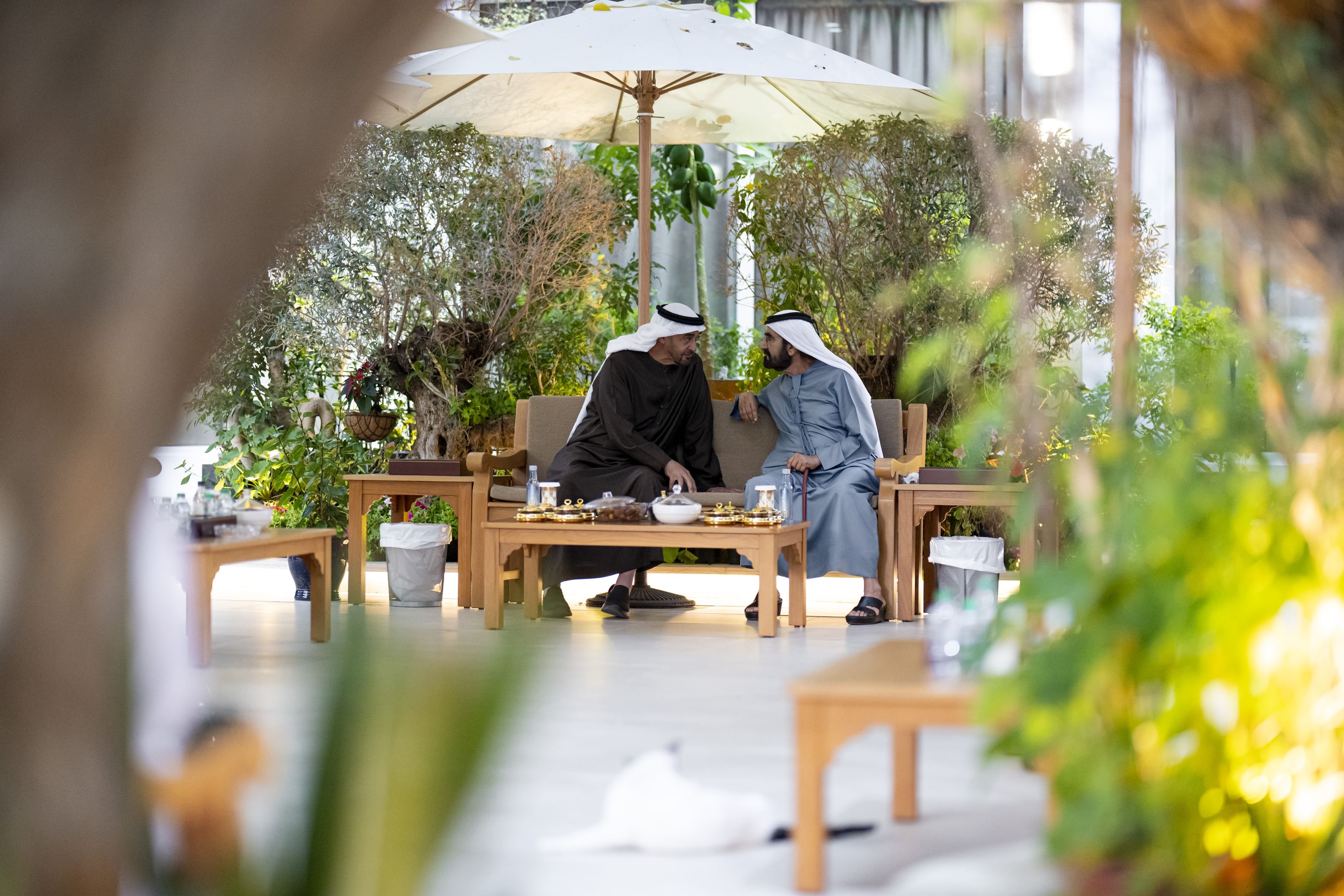 خلال لقائهما في استراحة المرموم بدبي.. رئيس الدولة ومحمد بن راشد يبحثان شؤون الوطن بحضور منصور بن زايد