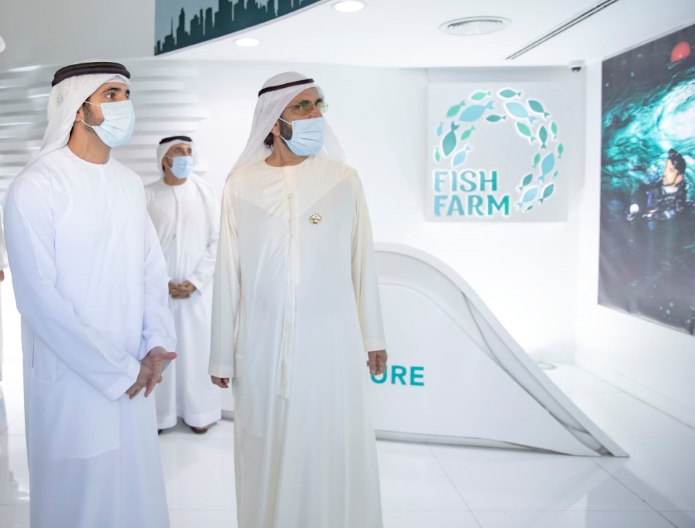 Expanding domestic food production to achieve self-sufficiency strategic objective: Mohammed bin Rashid visits Fish Farm in Dubai