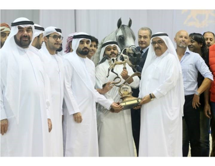 Hamdan bin Rashid crowns winners of Dubai International Arabian Horse Championship